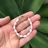 Pale Pink Shell