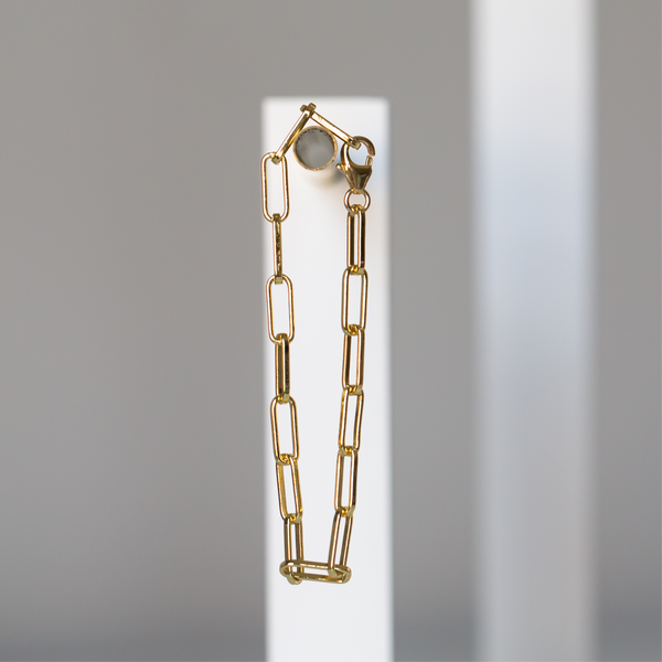 Large Paperclip Chain Bracelet & Anklet