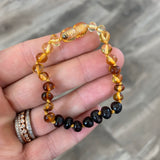 Baltic Amber Adult Bracelet - Polished Rainbow